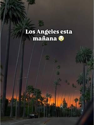 El humo bloquea el sol, así es cómo despertó la ciudad de Los Angeles el día de hoy. Espero que todos estén bien 🙏🏼  Stay Safe LA 🙏🏼💔 #losangeles #firela #fuego #california #padisales 