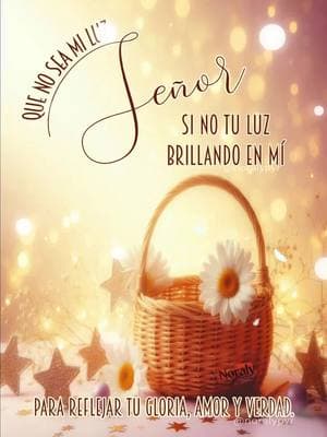 Que no sea mi luz Señor, sino Tu Luz brillando en mí, para reflejar Tu Gloria, Amor y Verdad...🙏 #Dios #foryou #gracias #amor #fyp #parati #bendicione #gloria #verdad #paratii #paratodos #luz #corazon #noralypyr 