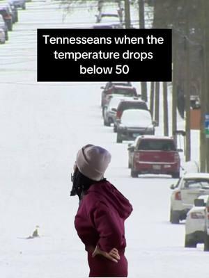 We weren’t built for these conditions 🥶  Moving to middle TN? ⬇️ 📲 Call or Text: 615-330-0987  💻 Email: lorene@hetheringtonteam.com • • • • • •  #nashvillehomesforsale #paradeofhomes #nashvillenewhomesforsale #bellemeadehomesforsale #homesforsalenashville #luxuryhomesforsale #luxuryhomesforsaleinnashville #nashvillehomesforsalelorenehetherington #besthomesforsaleinnashvilletn #homesforsaleinnashville #homesforsaleinnashvilletennessee #homesforsaleinnashvilletn  #franklintn #nashvilletn #nashville #brentwoodtn #movingtonashville #movingtofranklin #visitfranklintn #visitfranklin #visitnashville #luxuryhomes #franklinluxury #nashvilleluxury #nashvillerealtor #brentwoodrealtor #franklinrealtor #homesforsale 