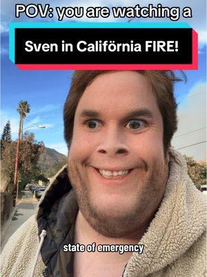 Sven is pray 🙏 #sven #california #fire #skitsinthekeyoflife #daviethegoliath 