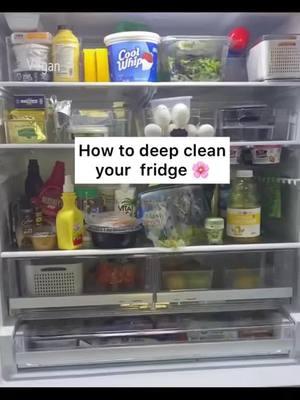 Have you tried this amazing DIY fridge spray yet?! Works wonders 😁 . . . #fridge #fridgeorganization #organize #organizedhome #kitchentips #hometips #naturalcleaning #fridgecleaning #clean #cleaning #CleanTok #cleaningtiktok #fyp 