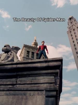 The Beauty Of Spider-Man #spiderman #spidermanedit #tobeymaguire #verticalmovies #movie #fyp