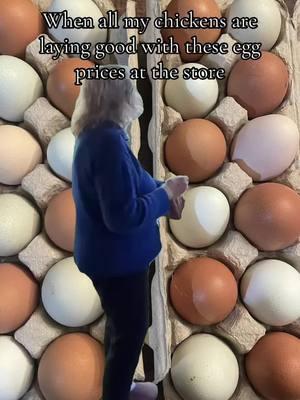 Eggs are $5.50 a dozen where I live 😳 #Meme #MemeCut #memenatal #chickensoftiktok #eggprices 