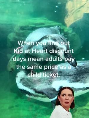 Adults pay the same price as kids at Woodland Park Zoo during Kid at Heart discount days! Upcoming 2025 Kid at Heart Dates: January 12 and 13 February 2, 3, 23, 24 March 2, 3, 9, 10 Link in bio or zoo.org/kidatheart #woodlandparkzoo #awesome #kidatheart #zoolover #zoo #seattletiktok #seattle #pnw #pnwonderland #pnwlife 