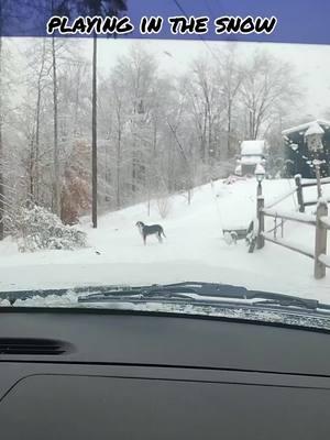 #snow #winter #january #cold #stuck #blessed #fyp #hills #606 #blessed #easternkygirl #god #kentucky #drive #beautiful #Love 