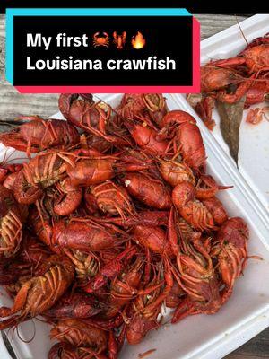 Let’s try Louisiana crawfish! At “Bayou daiquiris” in Louisiana.🦞 ##fyp##fypシ##foodtour##foodcritic##Foodie##foodreview##chopelasreviews##foodvlog##Louisiana##crawfish##seafood