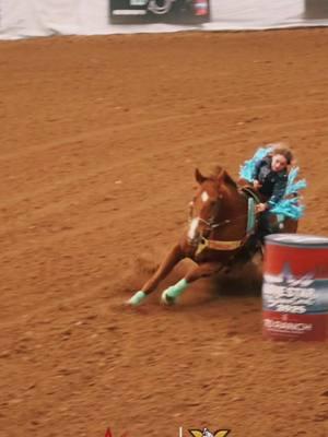 My girl & #myprettyboyfloyd ended up 2nd in the 8& Under at the Lonstar shootout! 🤩 #hamiltontexas #rodeokids #barrelracing #quarterhorses #shilohsaddlery #bettybrand #diamondclassic #boomerbiteshorsetreats #babybarrelracer #fyp #cowgirl #xfactorbarrelracing #lonestarshootoutbarrelrace #centex #texas #renewgold #cubeitcubes #barrelrace #barrelracer #kidhorse 