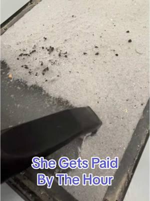 This are not rat turds. #SmallBusiness #laundryfun #laundry #laundryservice #lintplay #vacuumtherapy #asmr #oddlysatisfying #vacuumcleaner #onthisday 