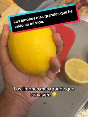 Los limones más grandes del mundo. 🫢🍋 #fypシ #paratii #viralvideos #finca #farmlife 