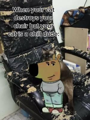 Hey it happens to the best of cats #catmemes #catmemesdaily #catmemesforlife #funnycats #funnycatsoftiktok #memes #meme #comedy #funny #fyp #fypシ #chillguy 