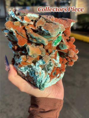 This color captivating Statement Piece is a pseudomorph after selenite that now features Chrysocolla, Malachite, and topped with a dazzling Quartz coating ✨ these come out of the Tenke Mine, Tenke-Fungurume area, Lualaba, DR Congo this piece plus others will be available on my live this Friday at 5 PM PST see you there! ##fyp##chrysocolla##malachite##quartz##highgrade##collectorpiece##highend##gemshowfinds