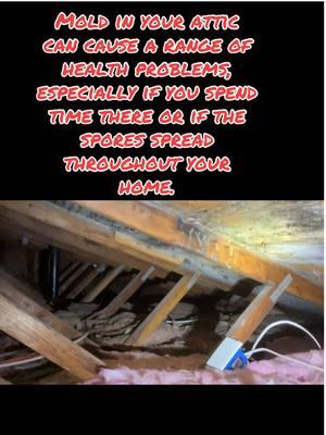 All Roof in 2025 Need Attic Inspection . Tell and friend  #bestrooferalive #roofing2025 #heatingandcoolingdonts #havoc ##roofmold##havocfails