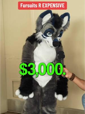 FURSUITS ARE EXPENSIVE!!! @P0loman @cleo #furry #furryfandom #furrytiktok #furrycommunity #furrys #furries #furriesoftiktok #furries4life #fursuit #fursuiter #fursuiting 