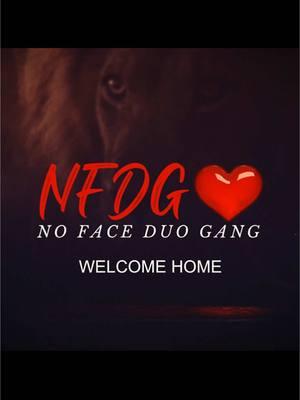 Shoutout to the AMAZING TOP 5 NFDG STARS who went above and beyond in my live!!! Please follow for a follow back. #NFDG  @SweetE @🔥Squeaky🔥 @livy @🔥🎙👁🐢🫧Snoozy4.0💎🏝🔮🦆🔥 @dricka🫦 