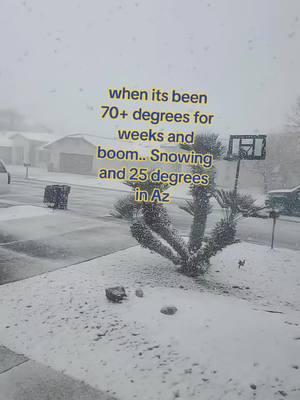 #snow #snowday #snowman #Arizona #sierravista #Arizona #AZ #520 #svaz #cold #af #coldweather    #coldaf #palmtrees #sierra #Vista #ice #snowangel #snowball #winter #winterwonderland #so #icey