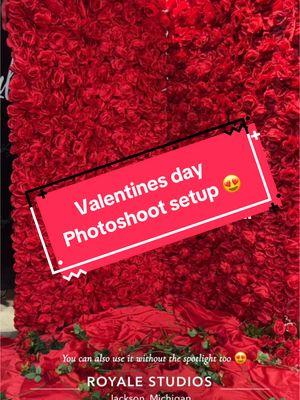 Valentine's Day setups 😍 #ValentinesDay #valentine #photoshoot #valentinesdaygift #valentines  #valentinesdiy #valentinesdayphotoshoot #valentinesdaysetup #fyp #foryou #roses #photographer #michiganphotographer #travelphotographer 