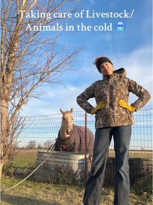 Prepping for the 1st Texas 3 day winter of 2025! Thankful the cold doesn’t last long, I wouldn’t survive! #fyp #foryou #catiewilson #ranchlifestyle #cowgirlmom #womeninag #cowboywife 