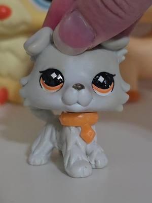 bonus points if you can send me pictures on instagram! I'm in the final prep to finish remaking my checklists but I need to know if he is a variant before I do the cats 😭 #lps #littlestpetshop #rarelps #lpscollection #lpscollector #lptok 