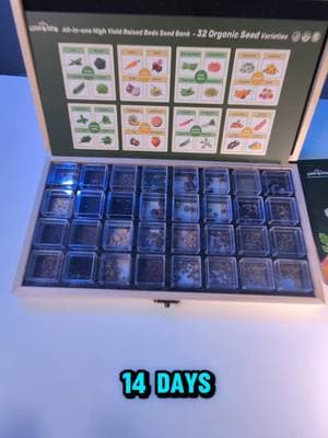 Grow your own organic garden with ease! 🌱 Our 100% organic, non-GMO seed kit includes 32 varieties and over 20,000 seeds to help you harvest up to 15,000 fruits and veggies. Perfect for beginners, gift-givers, and emergency preppers. Start your gardening journey today—high germination rates, endless possibilities! 🌿🍓🥕 Click the link to order now! #GrowYourOwnFood #OrganicGardening #GrowYourOwn #NonGMO #gardentok#GardeningLife #SeedKit #HomeGarden #SustainableLiving #RaisedBedGardening #GardeningForBeginners #EmergencyPrep #FreshFood #GardenGoals #DIYGarden