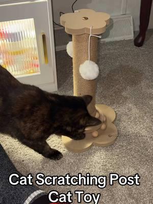 Cat Scratching Post Cat Toy #catscratchingpost #catenrichment #cattree #cattoys #cattoyreview #cattoyrecommendations #bestcattoys #catsplaying #cats #tortoiseshellcat 