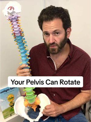 It can, but luckily you can re-align your pelvis through postural therapy.  #drreese #PelvisRotation #PelvicHealth #HipMobility #CoreStability #PostureCorrection #FunctionalTraining #MobilityMatters #InjuryPrevention #BodyMechanics