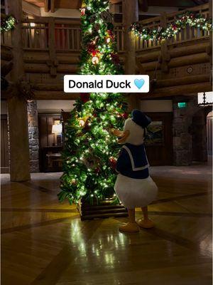 Wholesome moment checking in to Disney’s Wilderness Lodge and seeing Donald Duck admire the Boulder Ridge tree! 🥹🎄✨ #magicalmoment #disneymagic #donaldduck #disneyswildernesslodge #waltdisneyworld #dvcmember #disneytravel #mydisneylife 