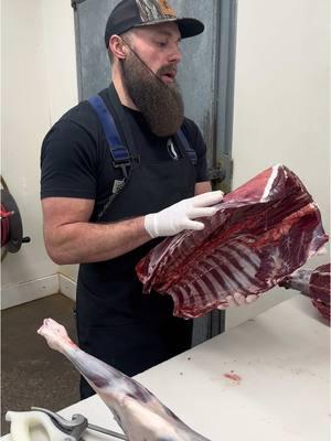 1 Day - 1 Week - 3 Week - 6 Week Dry Age comparison Video coming soon to our YouTube channel. Stay tuned! 🦌🔪🥩  #reelsinstagram #reels #reelsviral #reelsvideo #video #viral #trending #foryou #fyp #bbq #meat #beef #steaks #thebeardedbutchers #youtube #butcher #food #beardedbutcher #eat #barbecue #steak #algorithim #Foodie #hunting #whitetail #hunt #bowhunt #Outdoors #deer 