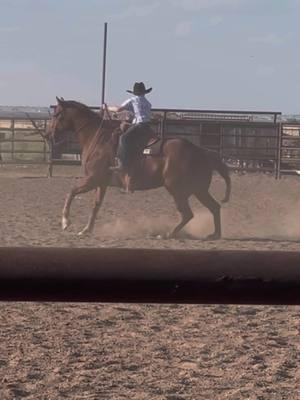 Afternoons well spent - spinning a good pen of steers on a good sorrel!💥 #choiceofchampions #cactussaddlery #qualitymatters #conquerwithcactus #cactusrancher #fyp #foryoupage #roping #teamroping #foryoupage #fyp #rancher #steers #header 