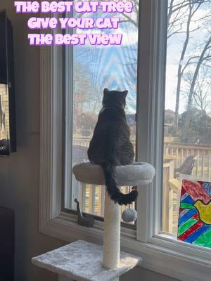 Currently on sale!! Such a great price for a cat tree!! Go spoil your cat 🫶🏻  #catsoftiktok #cattree #foryou #spoilcatsoftiktok #TikTokShop #shopmyshowcase #kittycat #catmom #cattreetower #spoilanimals 