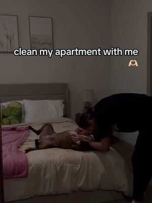 I love making silly little videos to catch moments like this on camera #dogmoms #cleaningvlog #cleanwithme #apartmenttour #aftermy9to5 #cleaningvideo 