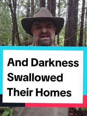 Once the old growth forests were replaced by densely planted tree plantations, the ground was starved off sunlight. Understory plants could not grow and the wildlife that depended on those plants disappeared. The Redwoods Rising team is rapidly correcting this historical mistake. find out how. #LearnOnTikTok #forestry #redwoods #naturevibes #naturelover #forestlovers 