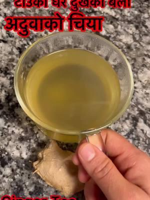 टाउको धेरै टुखेको बेला अधुवाको चिया #ediblequestbydurgadhakal #foreyou #viral #goviral #tiktok #trending #fyp #Recipe #foreyoupage #gengertea