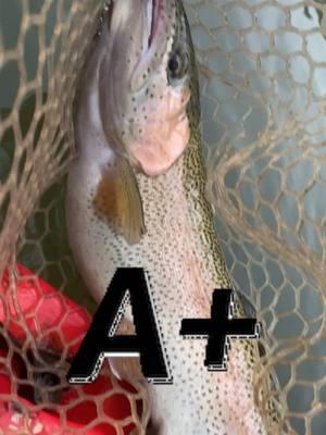 A+ good can I go higher? #selfevaluation #kayakfishing #troutfishing #rainbowtrout #rainbowtroutfishing #yakfishing #redkayakguy #A+ #trump #trumptrain #trumpmeme #kayaking #chattahoocheeriver #chattahoochee #river #shorts #shortsfeed #shortsvideo 