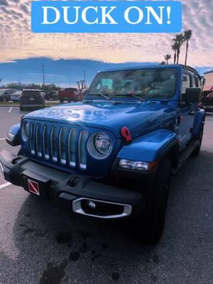 Hav’n Fun🤿 #duckon #tampabay #jeep #jeeplife 