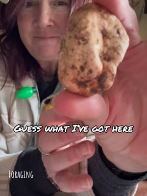 Wrong answers ONLY…😂😂 It’s currently cuddling with some eggs. #guessinggame #foraging #wronganswer #havingfun #treasurefinds 