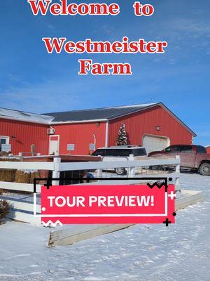 Spoiler alert!! This is everything you will get to see, do, pet, feed, and shop when you arrive for your tour at Westmeister Farm! If you want to be surprised by your visit, then SKIP THIS VIDEO!! #WestmeisterFarm #Ohio #ShelbyOhio #PrivateTour #BestDayEver #ExoticAnimalFarm #ExoticAnimalEncounter #SmallBusiness #LocalBusiness #FarmLife #Capybara #Armadillo #Otter #Kangaroo #Donkey #Pig #Goat #Owl #Porcupine #Horse #Zebra #Turtle #HighlandCow 