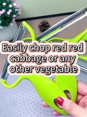 #scraper #kitchengadgets #kitchentool #kitchentools #kitchenaccessories #stainlessteel #foodslicer 