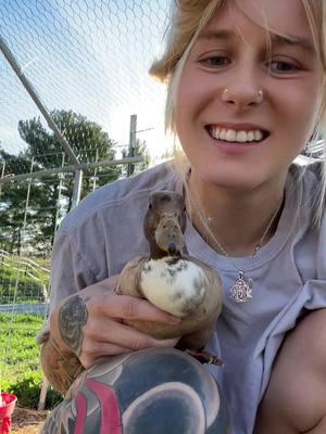 What would you name my call duck? #callduck #babyduck #duck #duckling #petduck #farmlife #farmgirl 