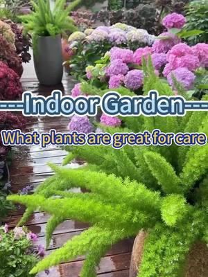 #gardening101 #indoorgarden #gardenplants #indoorplants #homegarden #plantcare #indoorplanting #plantcaretips #houseplants #garden #gardening #plantinggarden 