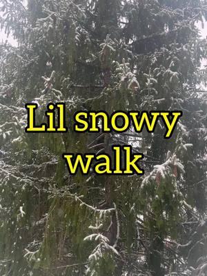 Lil snow walkie doo  #Hiking #nature #snow #science #microscope #microbio #microbiology #microorganisms #learn #ciliate #sciencecommunication #mikecroscope 