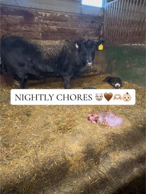 Quick evening recap- dead phone edition 🥲🙃🐴👶🏻🫶🏼#cowgal #cattlelife #ranchlifestyle #Lifestyle #cowkid #ranchlife #ranchtok #firsttimemom #ranchmom 