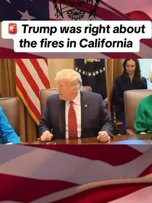 #california #forestfire #trumpwasright #donaldtrump #trump #MAGA #forestfires #cafires #theamericanglory 