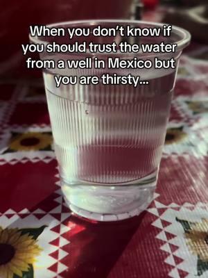 I will let you know how I feel in the next 24 hours. There was no bottled waters anywhere. #mexico🇲🇽🇲🇽🇲🇽🇲🇽🇱🇷🇱🇷🇱🇷🇱🇷 #mexicotiktok🇲🇽♥️ #mexicanoschingones #mexico🇲🇽 #mexico🇲🇽🔥 #mexicanoschingones #mexicotiktok🇲🇽 #mexicandads #mexicanoschingones🇲🇽🇲🇽 #mexicocity #mexicotravel #mylifeinmexico #mexicovibes #mexicolife #mexicana #mexicano 