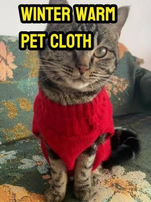 I was so surprised beacause I thought my cat would hate it but he  never tried to take it off !#kitten #kittensoftiktok #catclothes #catsweater #petsweater #petclothing #catclothing #foru 