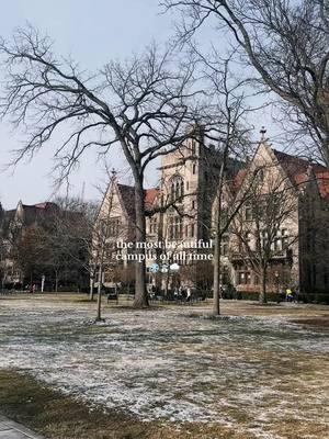 So grateful to study here🖤 #uchicago #college #acadamics #ivyleague #applications 