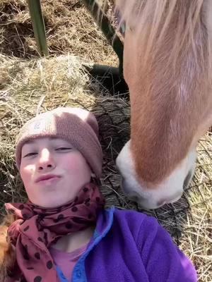 Shout out to Maryah and her super cute fjord Tillie!! So fun watching this team grow as a pair!💕 #liberty #horses #equinepartnership #horsetraining #horselove #libertyhorses #horsesoftiktok #horselove 