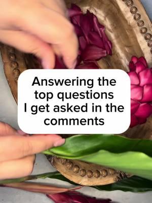 Here are the answers to the top 5 questions I receive! I am not always able to answer individual messages and comments so I thought this would be helpful 🌺 #leimaking #tongankahoa #tutorial #leis 