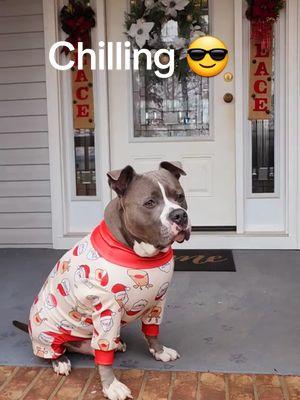 #@SPARK PAWS #fypシ゚viral #foryoupage #fyp #foryourpage #viralvideo #2025 #TN #USA #pets #PetsOfTikTok #dogs #dogsoftiktok #pitbull #pitty #staffy #pitbullsoftiktok #cute #cutepets #animals #dogpajamas #pj 