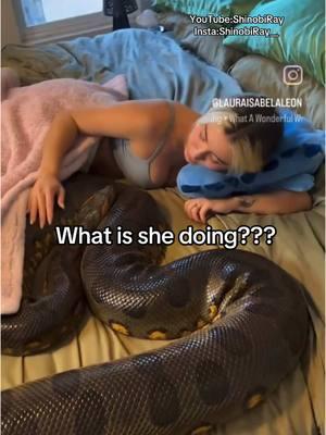 You don’t sleep next to every animal!!! #Snakes #Pythons #fyp #viral #ShinobiRay #funny #foryou #animals #greenscreenvideo #greenscreen 