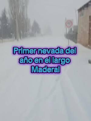 #chihuahua #ellargomaderal #nieve #nevada #sierradechihuahua